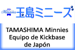 TAMASHIMA Minnies Equipo de Kickbase de Japn