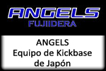 Niitaka Rengou Kodomo Kai Asociacin de Kickbase de Japn